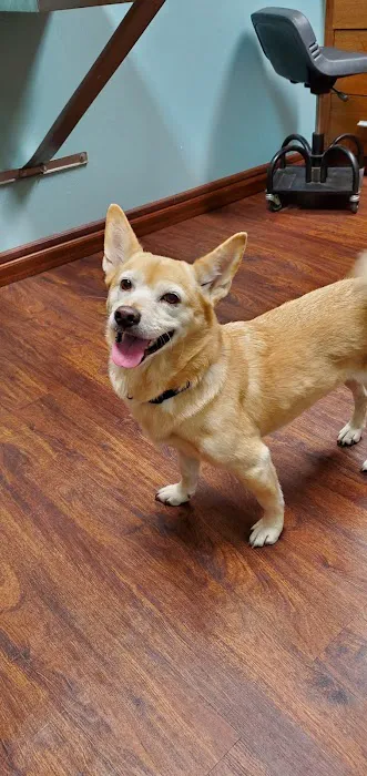 Albert Lea Veterinary Clinic 8