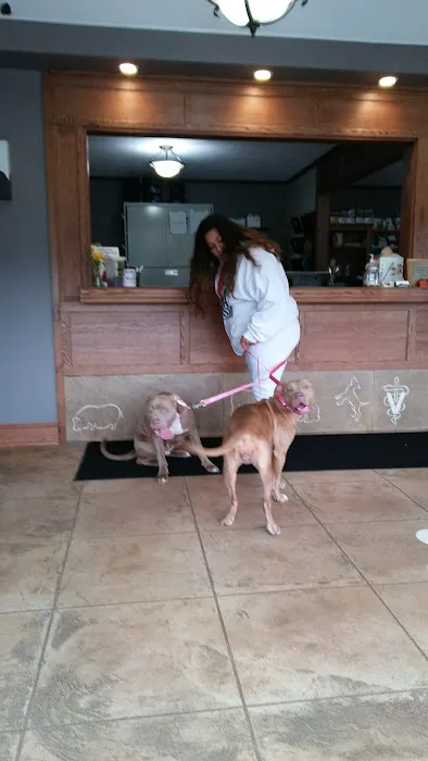 South Central Pet Care 4