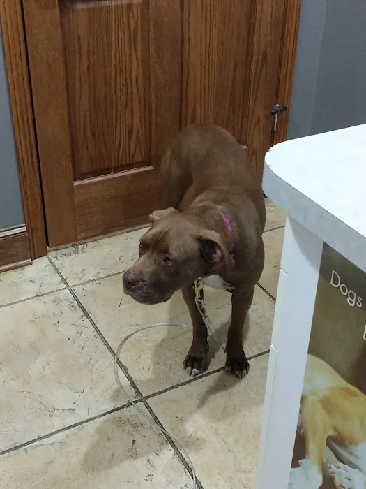 South Central Pet Care 10