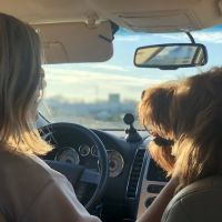 Buckingham Equine Veterinary Clinic ico