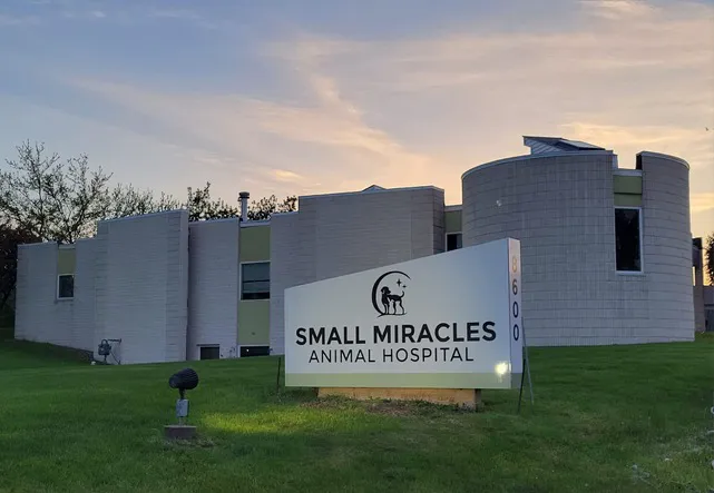 Small Miracles Animal Hospital 12
