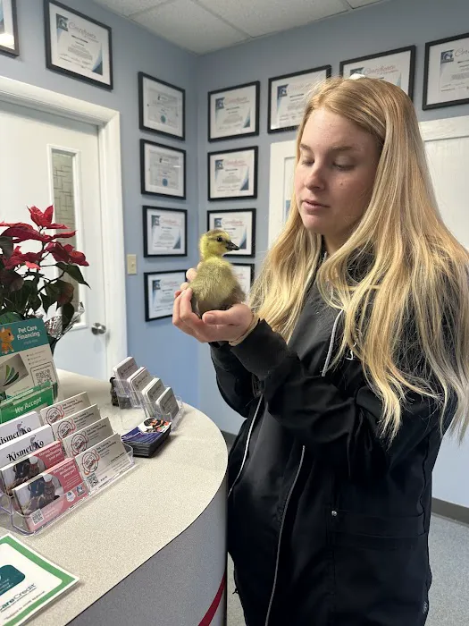 Small Miracles Animal Hospital 12