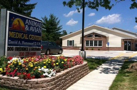 Animal and Avian Medical Center 7