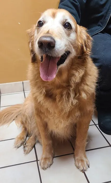 Brunswick Animal Hospital 10