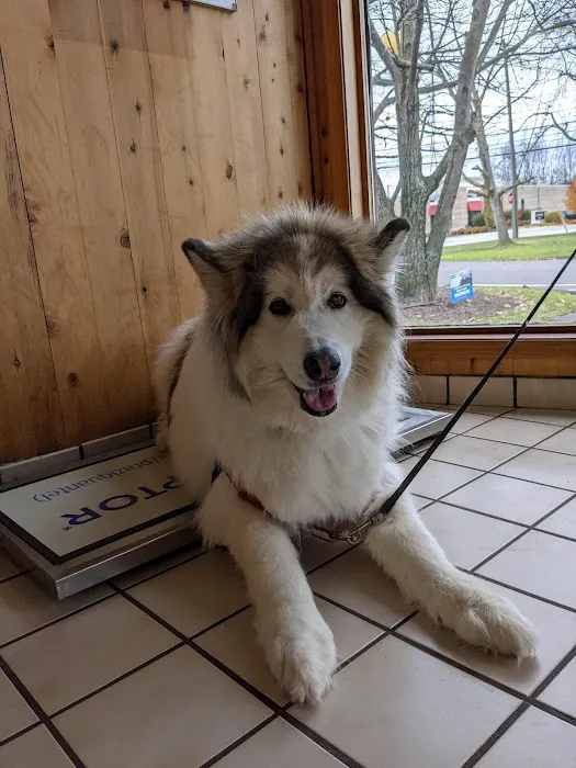 Brunswick Animal Hospital 7