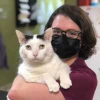 Brunswick Animal Hospital ico