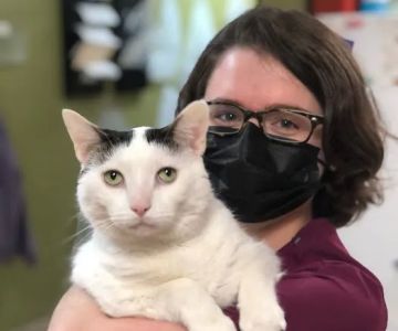Brunswick Animal Hospital