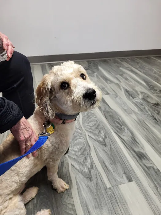 Brunswick Animal Hospital 3