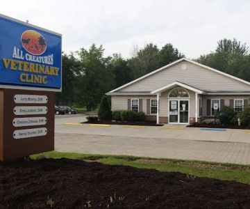 All Creatures Veterinary Clinic & Lodge