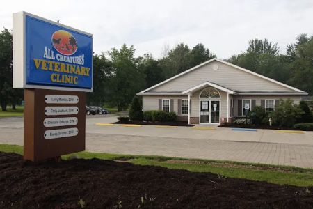 All Creatures Veterinary Clinic & Lodge