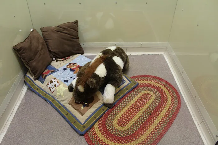 All Creatures Veterinary Clinic & Lodge 12