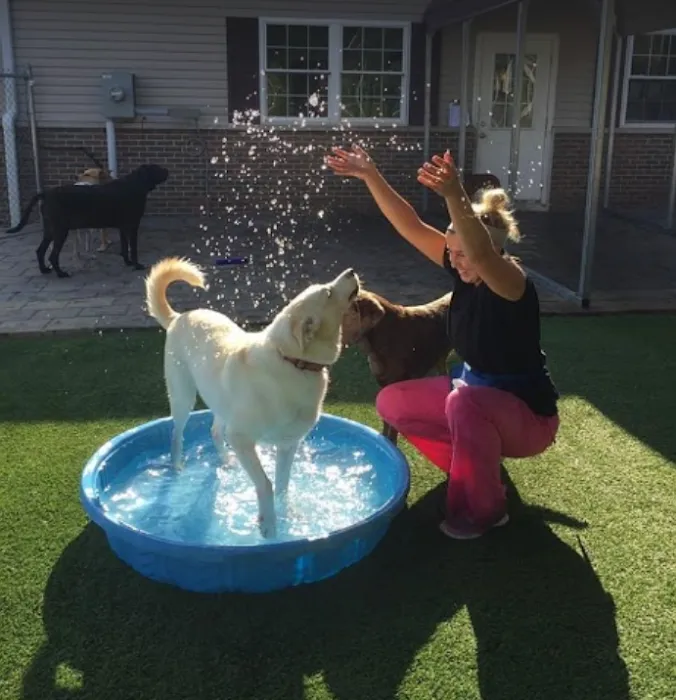 All Creatures Veterinary Clinic & Lodge 12