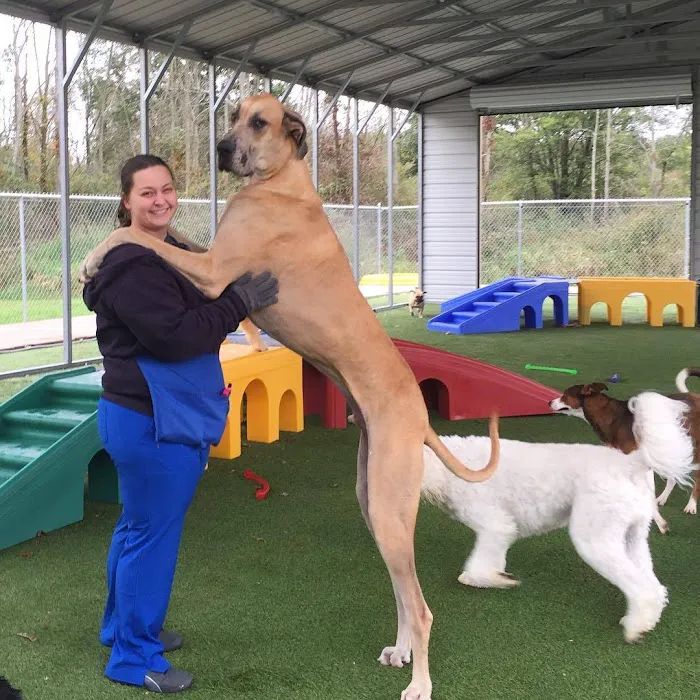 All Creatures Veterinary Clinic & Lodge 12