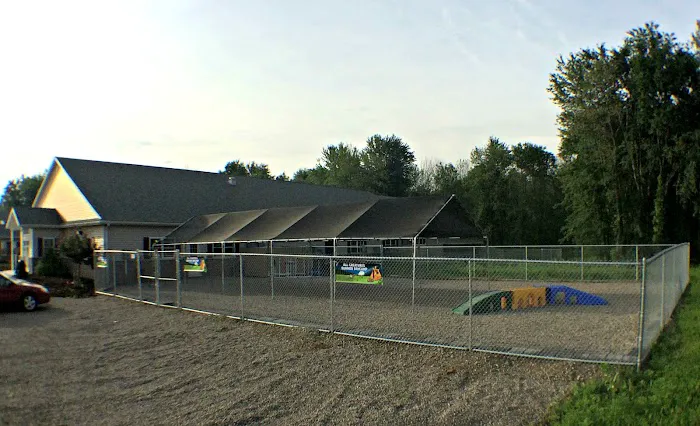 All Creatures Veterinary Clinic & Lodge 12