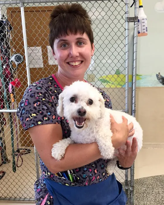 All Creatures Veterinary Clinic & Lodge 12