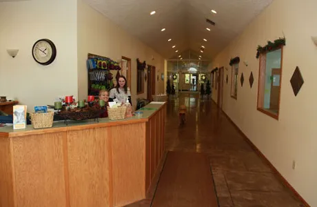 All Creatures Veterinary Clinic & Lodge 12