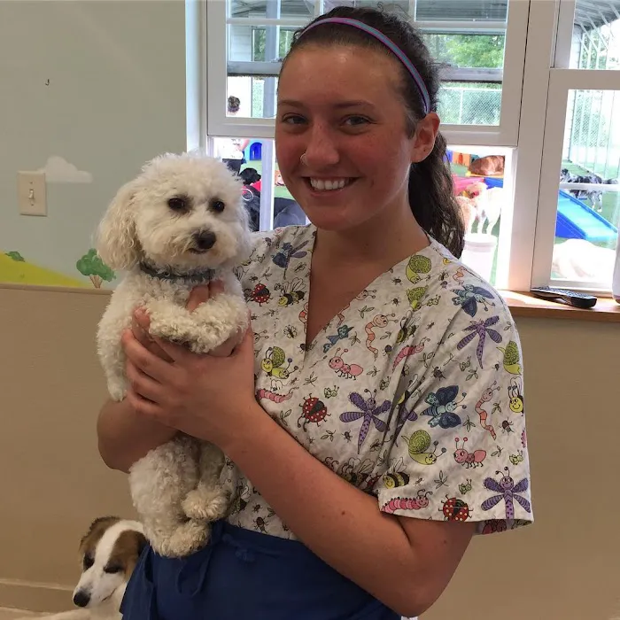 All Creatures Veterinary Clinic & Lodge 12