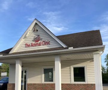 Animal Clinic Wadsworth