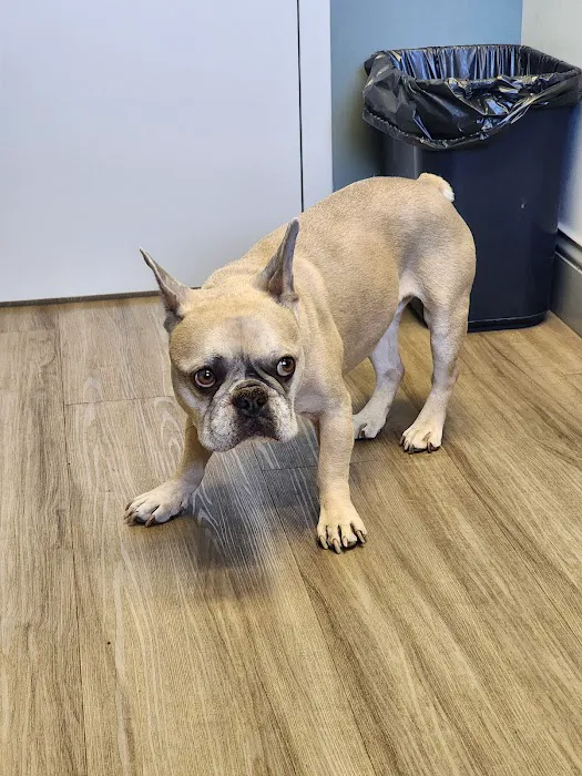 Animal Clinic Wadsworth 12