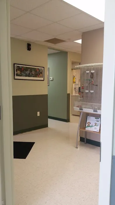 Animal Clinic Wadsworth 12