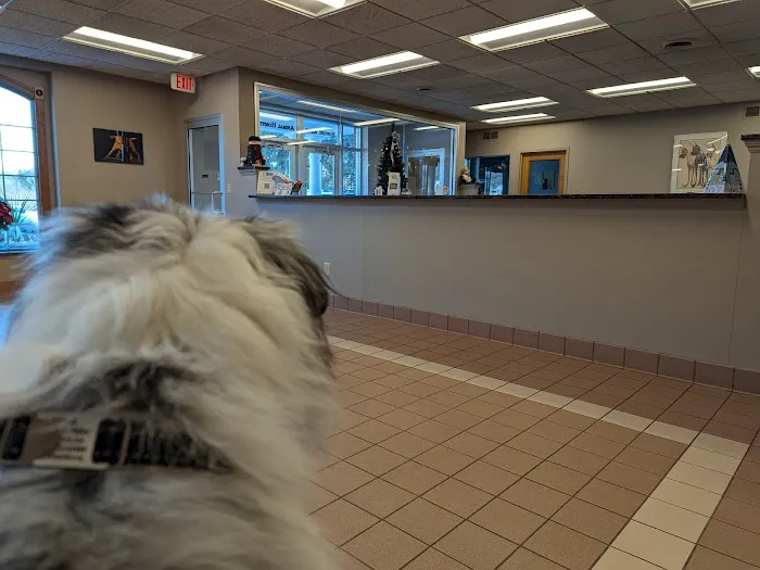Hunting Ridge Animal Hospital 12