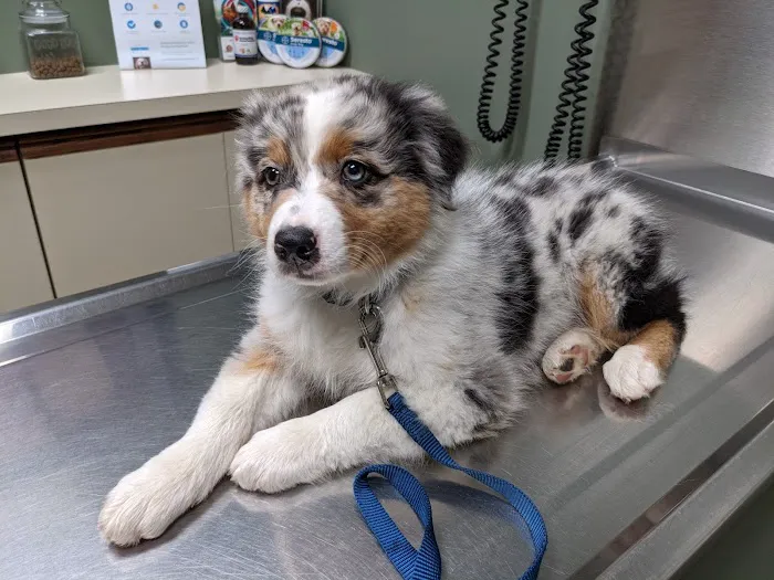 Hunting Ridge Animal Hospital 12