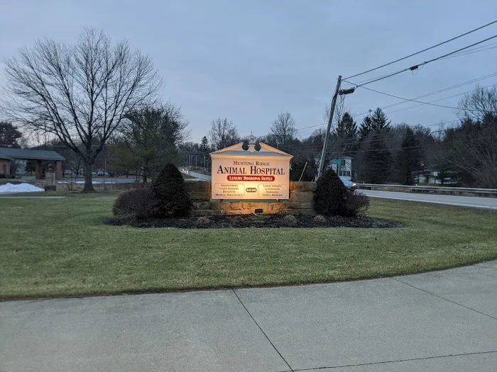 Hunting Ridge Animal Hospital 12