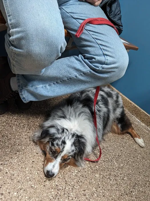 Hunting Ridge Animal Hospital 12