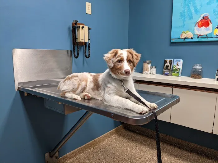 Hunting Ridge Animal Hospital 12