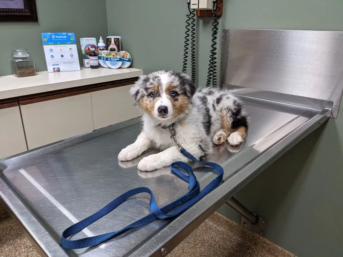 Hunting Ridge Animal Hospital 12