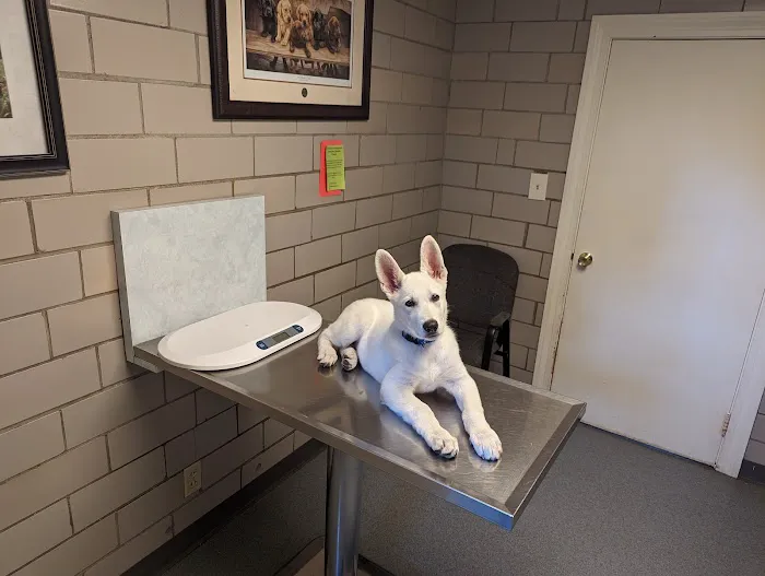 Wadsworth Veterinary Hospital 6