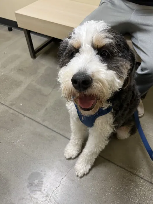 Vetco Total Care Animal Hospital 12