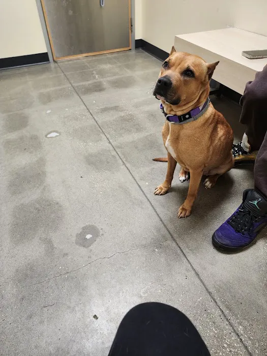 Vetco Total Care Animal Hospital 12
