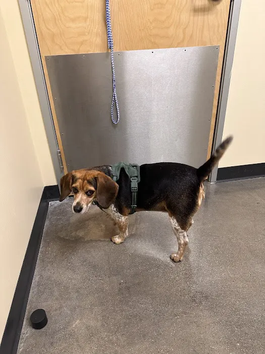 Vetco Total Care Animal Hospital 12