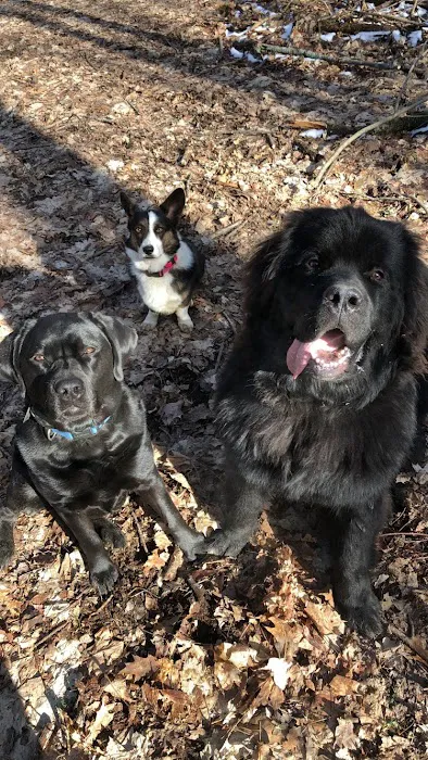 Creekside Animal Clinic 4