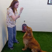 Akron-Medina Veterinary Hospital and Pet Resort ico