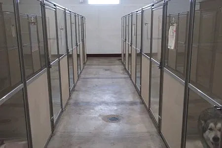 Akron-Medina Veterinary Hospital and Pet Resort 12