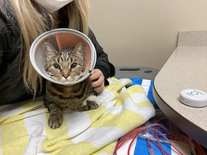 MedVet Akron 12