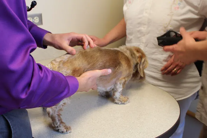 MedVet Akron 12