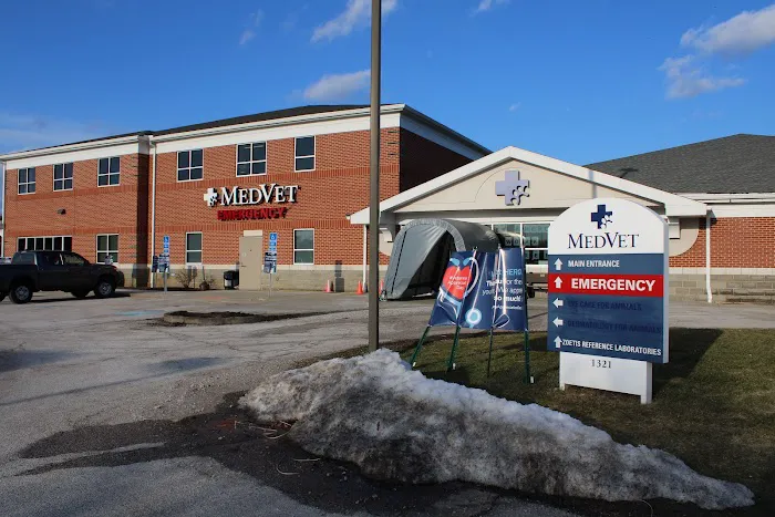 MedVet Akron 12