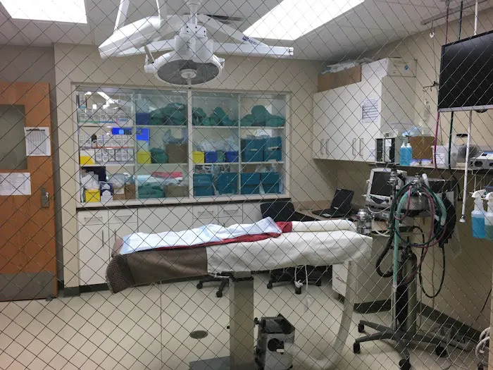 MedVet Akron 12