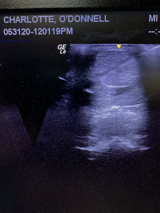 Dr. David Miller, Summit Equine Veterinary Services 7