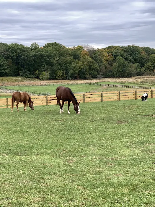 Dr. David Miller, Summit Equine Veterinary Services 9