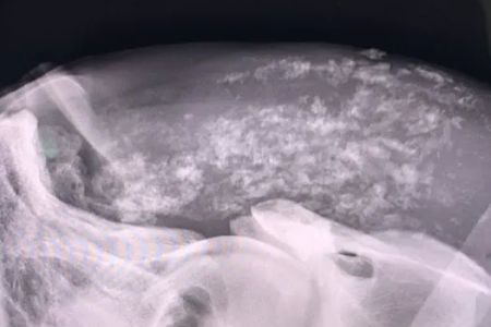 Dr. David Miller, Summit Equine Veterinary Services