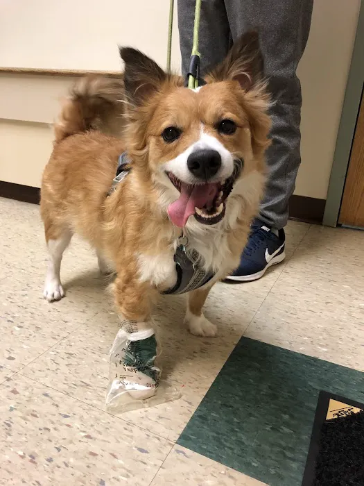Metropolitan Veterinary Hospital Akron 8