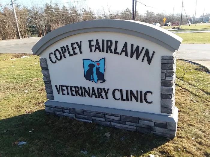 Copley Fairlawn Veterinary Clinic 9