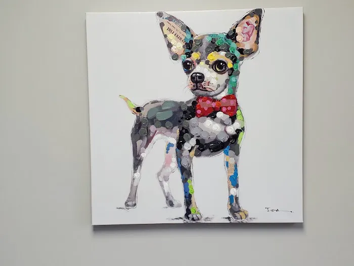 Copley Fairlawn Veterinary Clinic 4