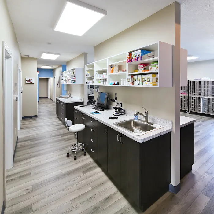 Copley Fairlawn Veterinary Clinic 6