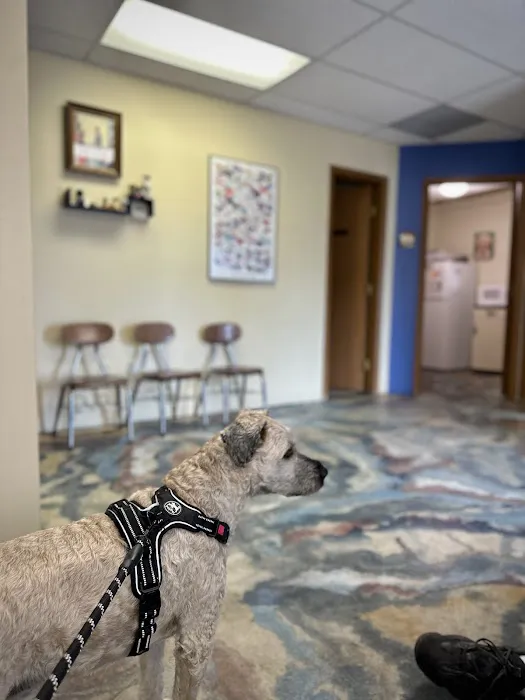 Pet Vet Animal Clinic 9