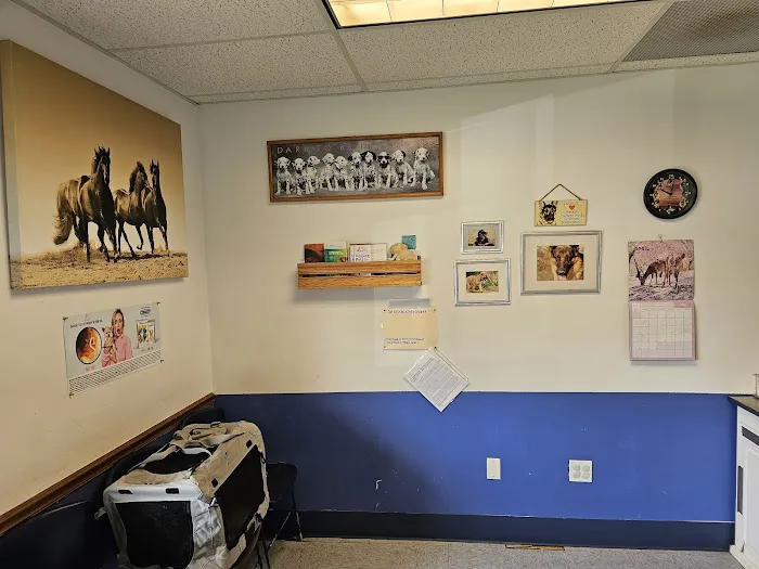 Pet Vet Animal Clinic 2